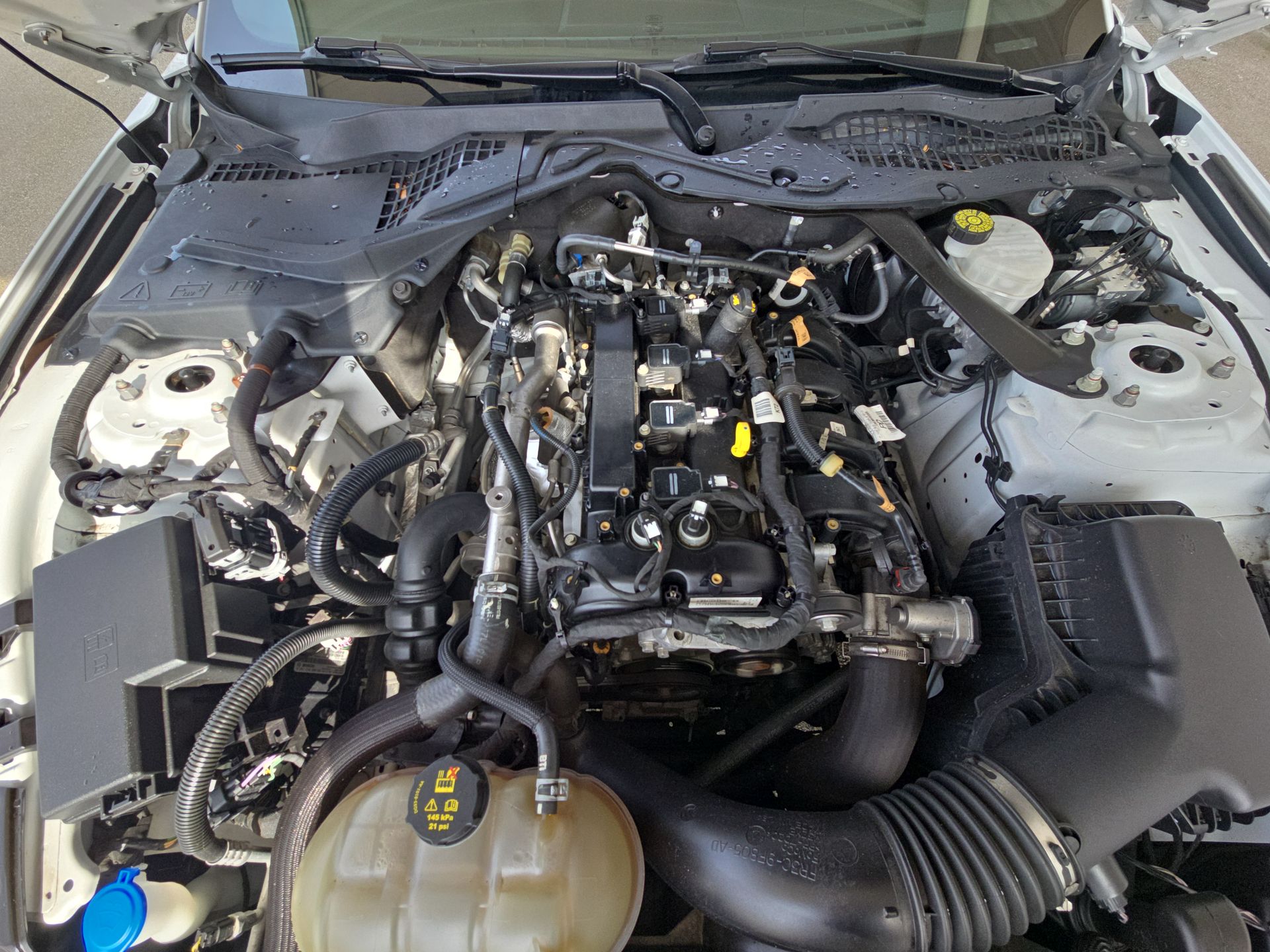 2023 Ford Mustang EcoBoost Premium Convertible