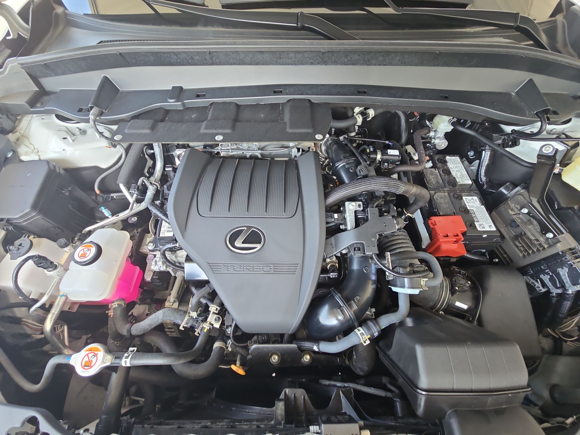 2024 Lexus TX 350 Premium